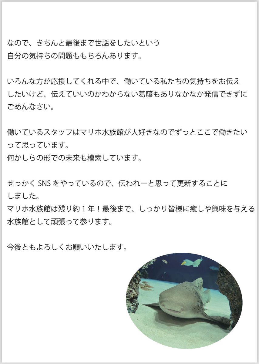 marihoaquarium's tweet photo. マリホ水族館を応援して下さってる皆様へ

Xが、バズってドキドキですが…
たくさんの方に伝わる機会かなと思ってこちらでも想いを投稿することにしました https://t.co/Ul4e7zz2zh