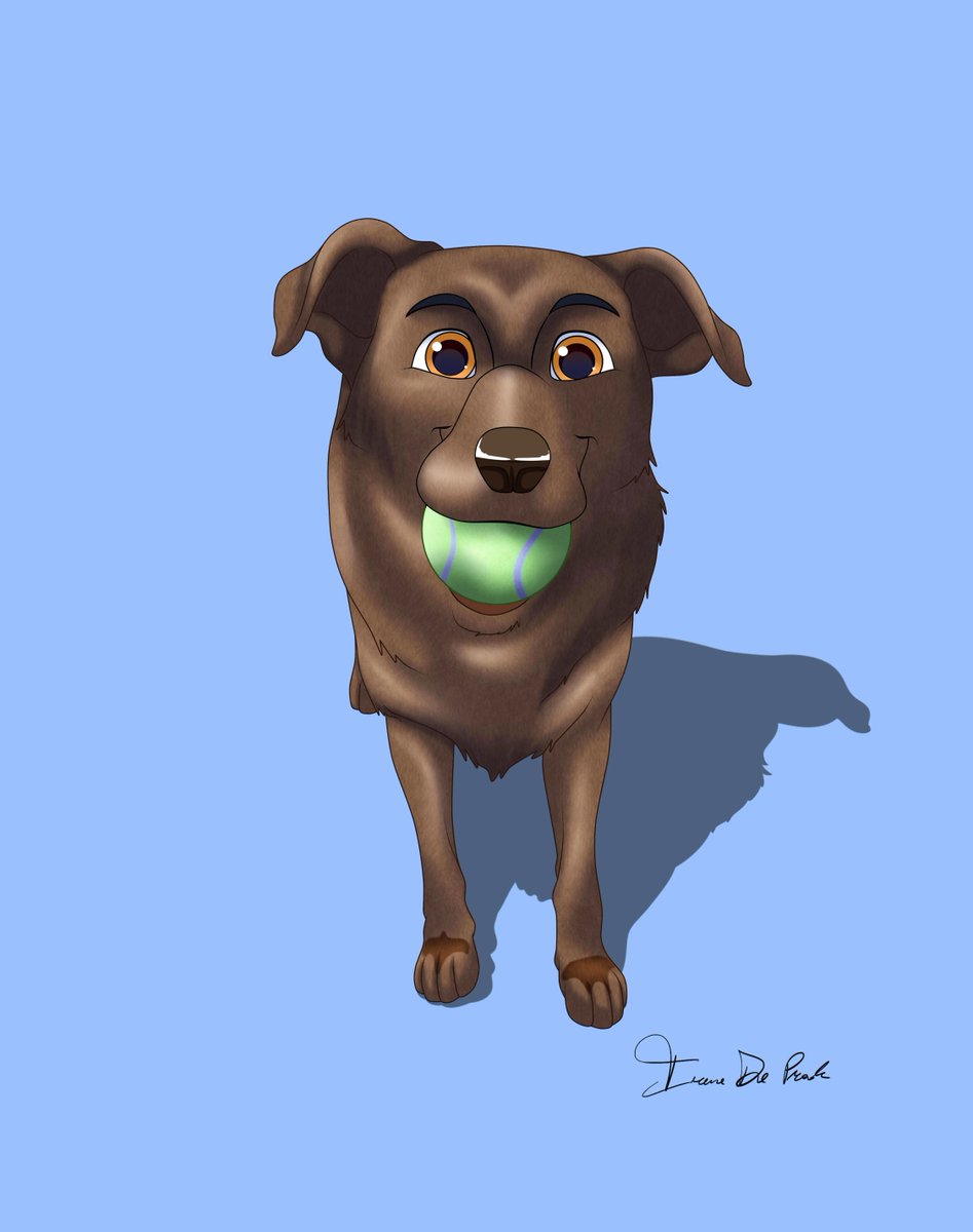 pettoonies's tweet photo. Fetching fun with my furry bestie! 🎾🐾 

#PlaytimePup #BallFetch #BestBuddy https://t.co/FAJSyztowh