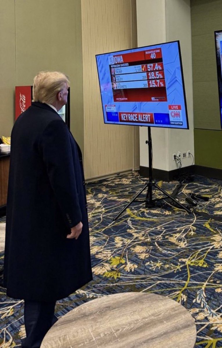 Pino Americano tweet media