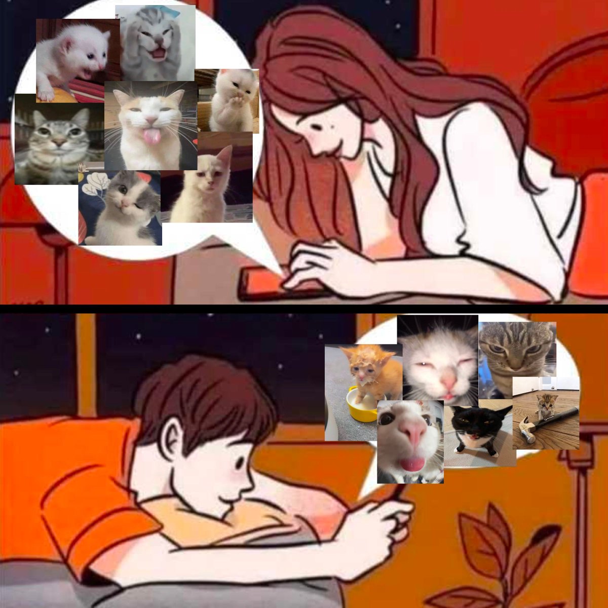 9GAG's tweet photo. cat memes = the purrfect conversation https://t.co/CoYl8lOizY