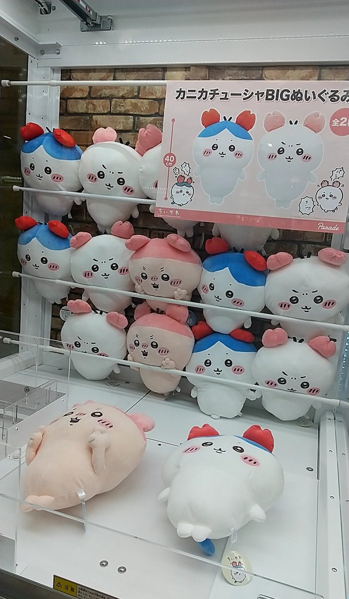 本物の🦀ちゃ混じってる……