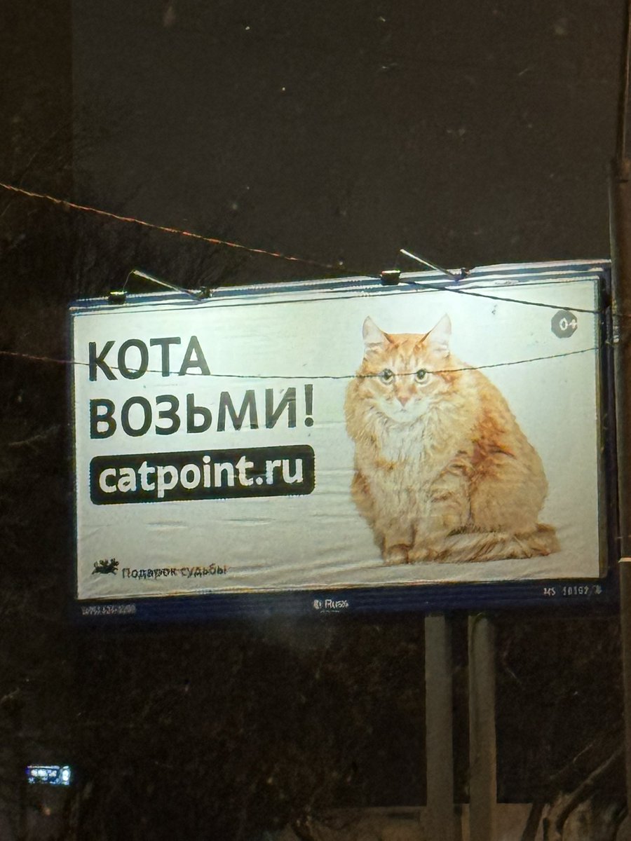 glibin's tweet photo. Слышь https://t.co/421dwHEUOy