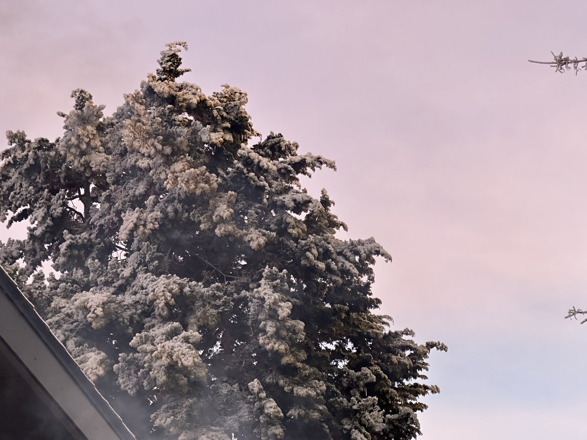 Fun in the sun (and ice)