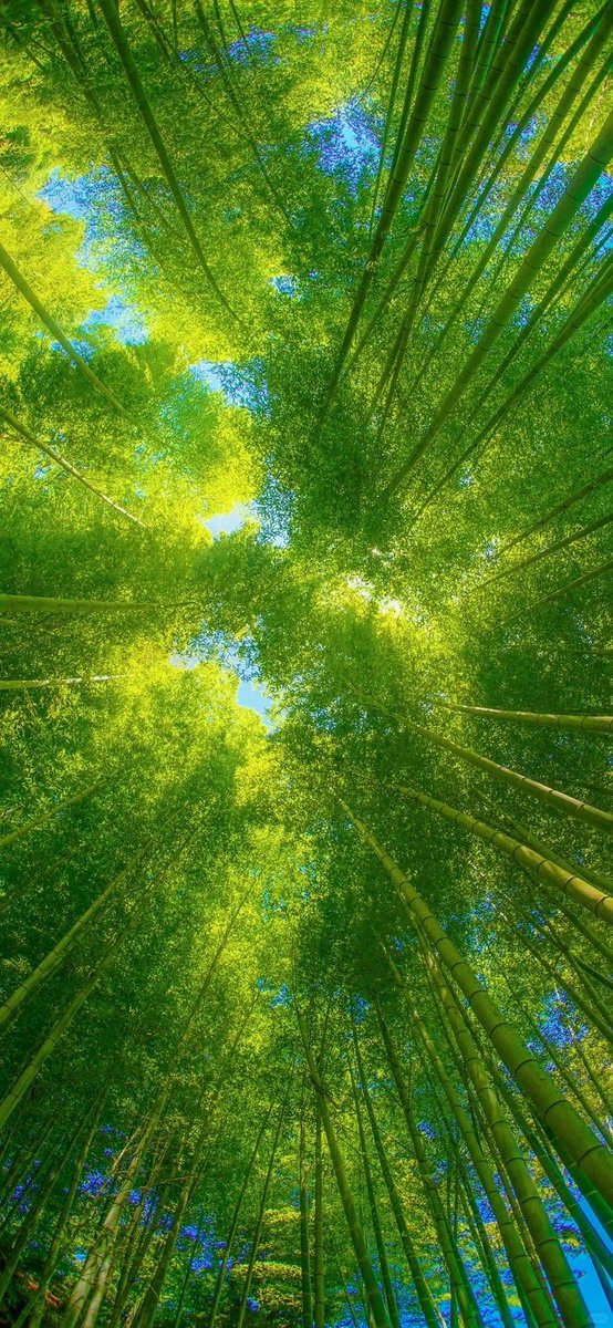 afcul's tweet image. Everyone will miss it. Everyone has missed it. What really belongs to you will never be missed.