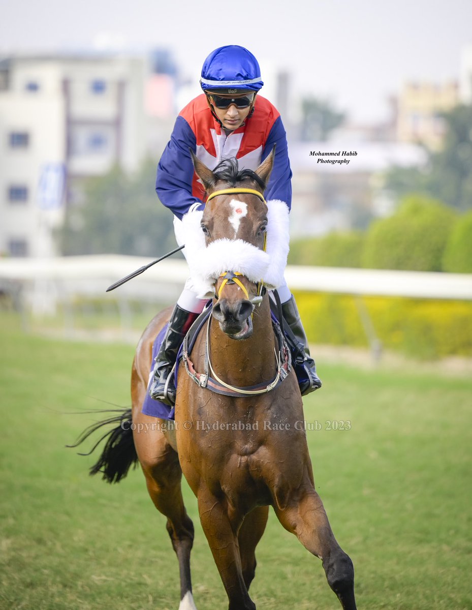 Z9Habib's tweet photo. The Sangam Plate - Div. 1 (1200 M)

Warwick 🐎  
A. Ashhad Asbar 🏇
Trainer: Ananta Vatsalya 

#HyderabadRaceClub #HRC #NikonIndia #MohammedHabib #HorseRacing #Hyderabad https://t.co/N4kNRuDn03