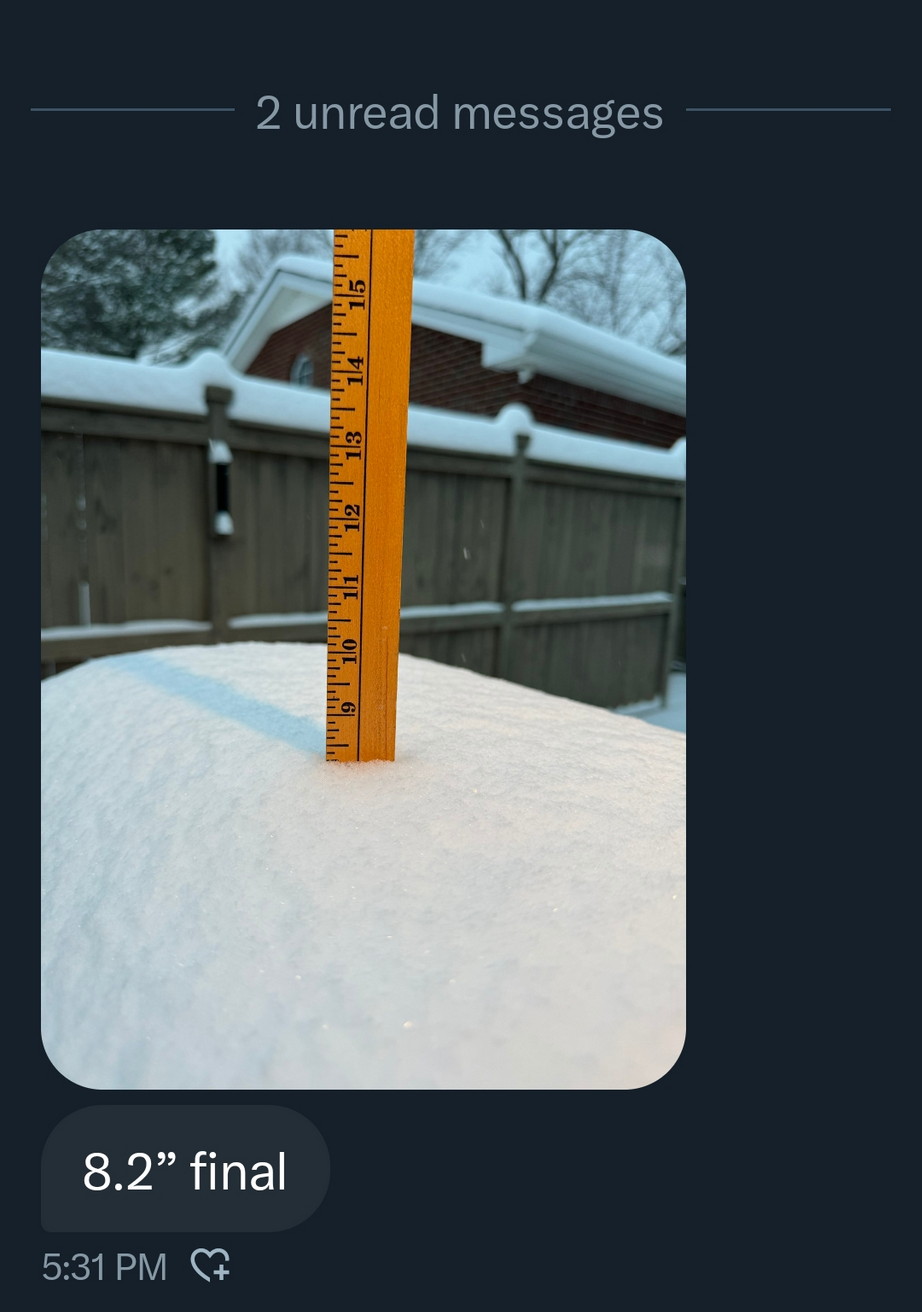 8.2 inches 2024 on a ruler
