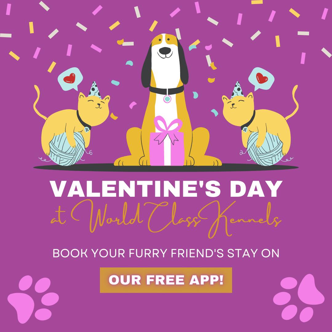 WCK35078's tweet photo. Are you going out of town this Valentine's Day? We would love to have your furry friend with us! Book their stay on our FREE app today!

 #hooveral #DogBoarding #DogGrooming #OdenvilleAL #HarpersvilleAL #KittyKennels #PetTaxi #VincentAL https://t.co/Fm2rXn8lJe