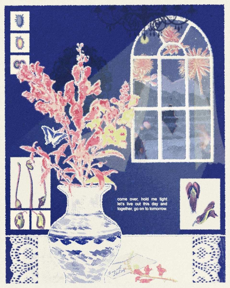 let's live out this day and together,
go on to tomorrow. 🦋💐