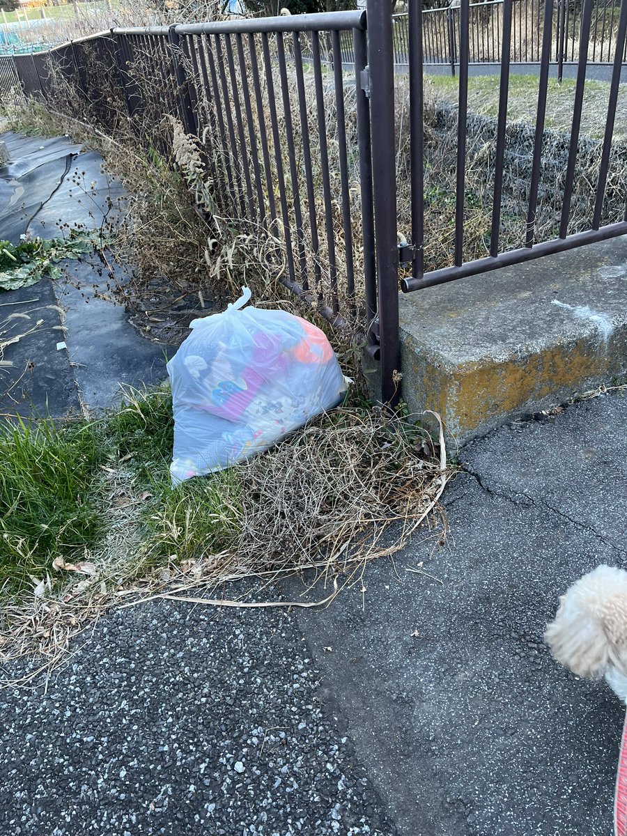 2p4Qg3ZI3jQGQNU's tweet photo. 犬の散歩しながらゴミ拾い活動。
お散歩ピカピカ隊
300回チャレンジ 232回目。

不法投棄がありました。
ゴミ置き場におけば済むものばかり。
持てるだけ拾いました。

今日も皆様良い一日をお過ごしください。

#ゴミ拾い
#地域貢献
#社会貢献
#SDGs
#PloggingDog
#pickinguptrash https://t.co/mAgUienkOE