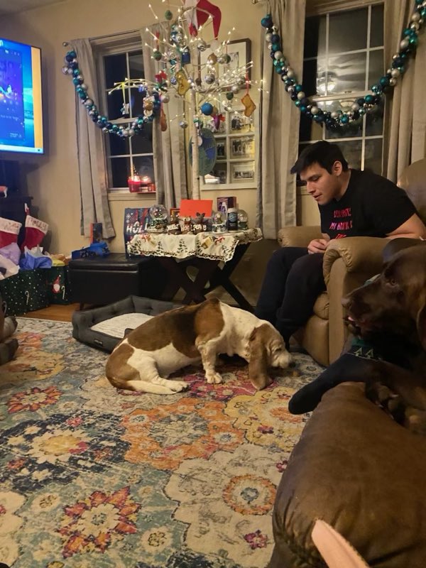 Pamaj's tweet image. Daisy turns 12 today 🥹 the little legend knows yall were rocking her on ur Xbox 360 profile pic ❤️