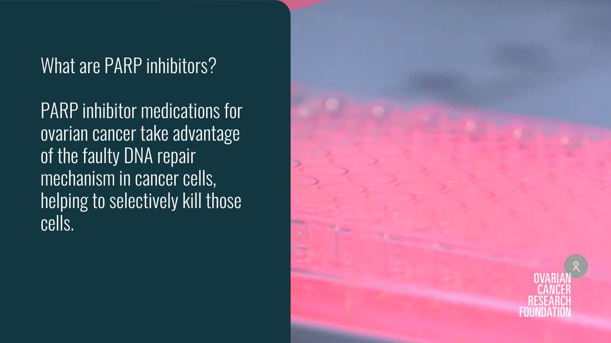 PARP inhibitor olaparib (Lynparza®) is now subsidised for eligible patients with newly diagnosed advanced stage #ovariancancer. PARP inhibitors have shown promise in clinical trials to improve quality of life and survival for certain patients. Read more: bit.ly/4aTVpYN