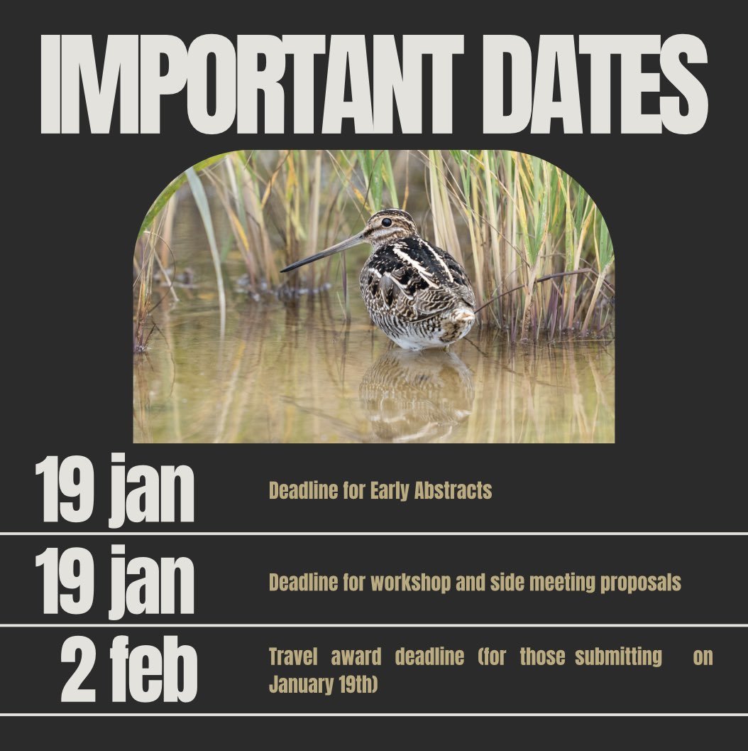 Western Hemisphere Shorebird Group 2024 tweet media