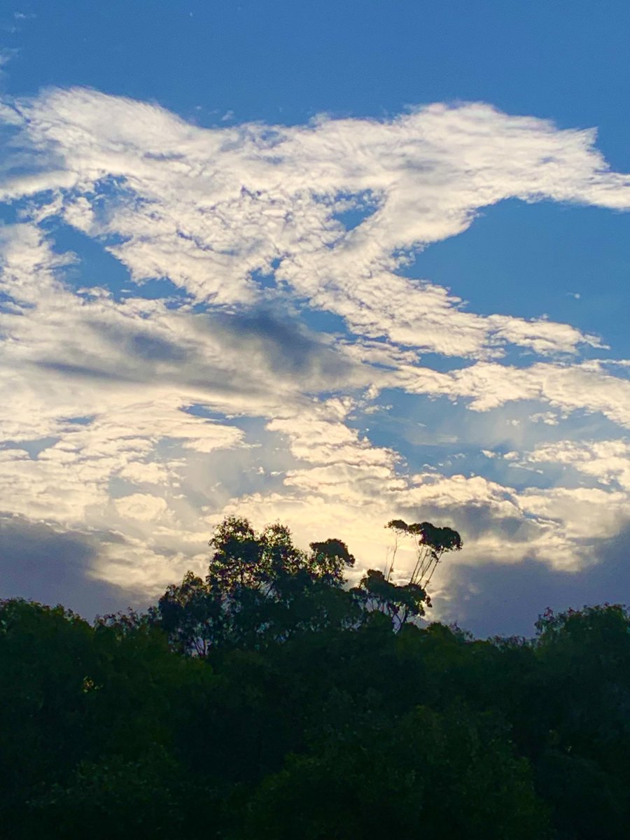 ninakillham's tweet photo. Our planet is so beautiful. Letโs save it together. #savethetrees #saveWA #savetheplanet https://t.co/Oetfp67xbA