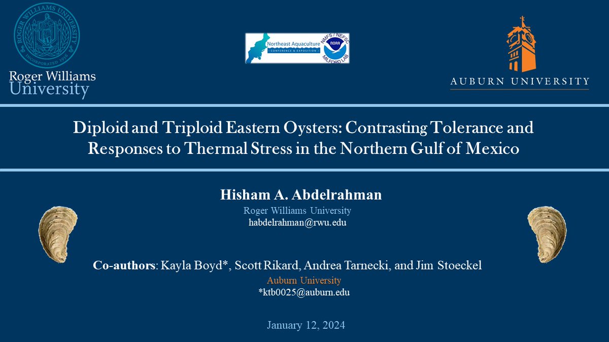 I had the amazing opportunity to present at the Northeast Aquaculture Conference &amp; Exposition (NACE) 2024 this year! The research was conducted by the brilliant Kayla Boyd (PhD Candidate at Auburn University!).
#Oysters #NACE2024 #NEAquaculture2024