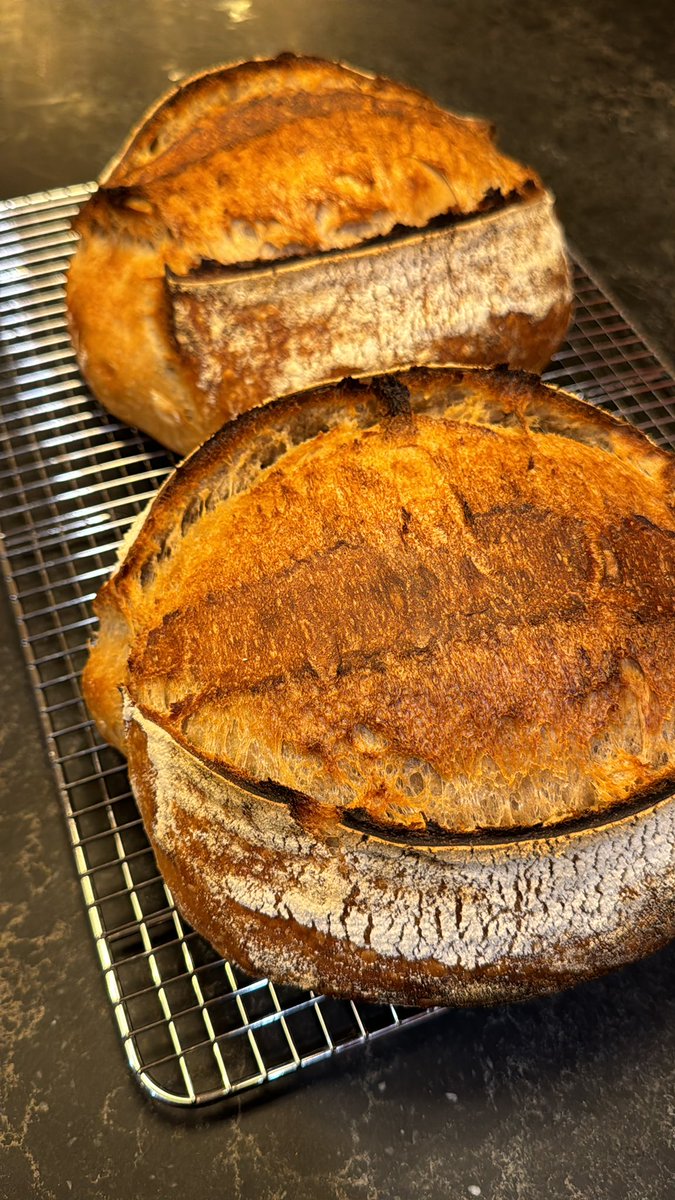 CRPakaluk's tweet photo. I feel like I owed ya’ll a bread portrait
Because it is a portrait
Tonight’s bake #tartine #dailybake #sourdough #signatureloaf https://t.co/n7niIFmpYi