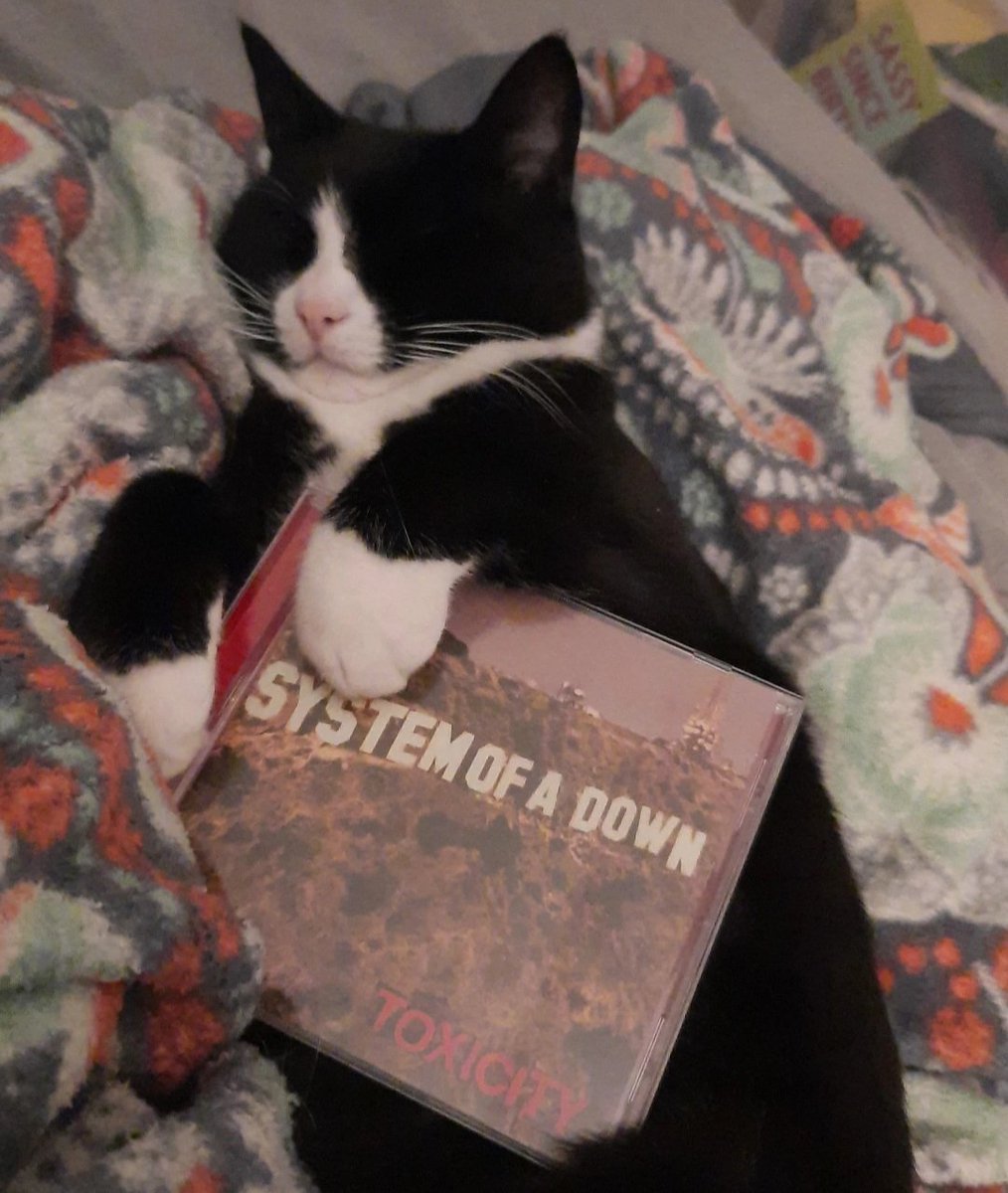 yooo didnt know bro was chill like that