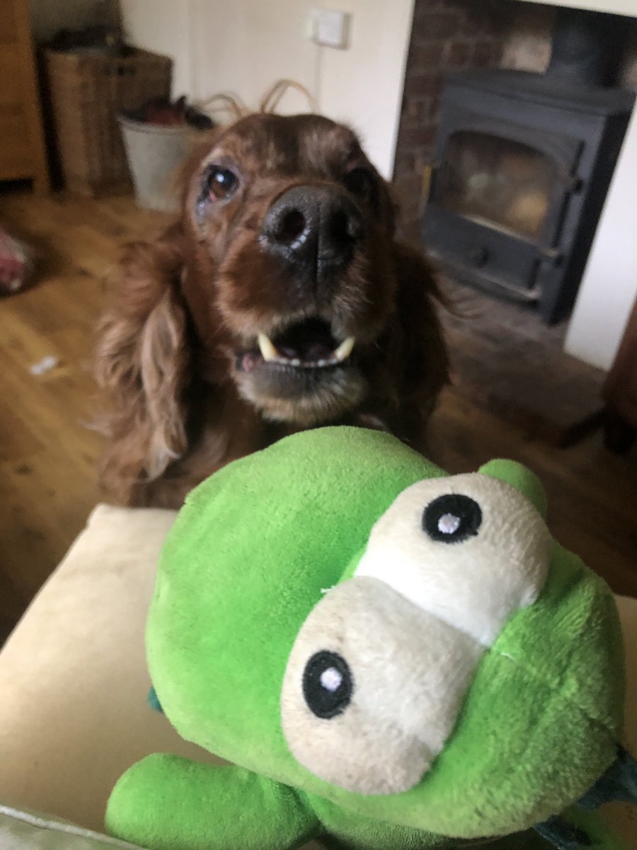 Sadie tweet media