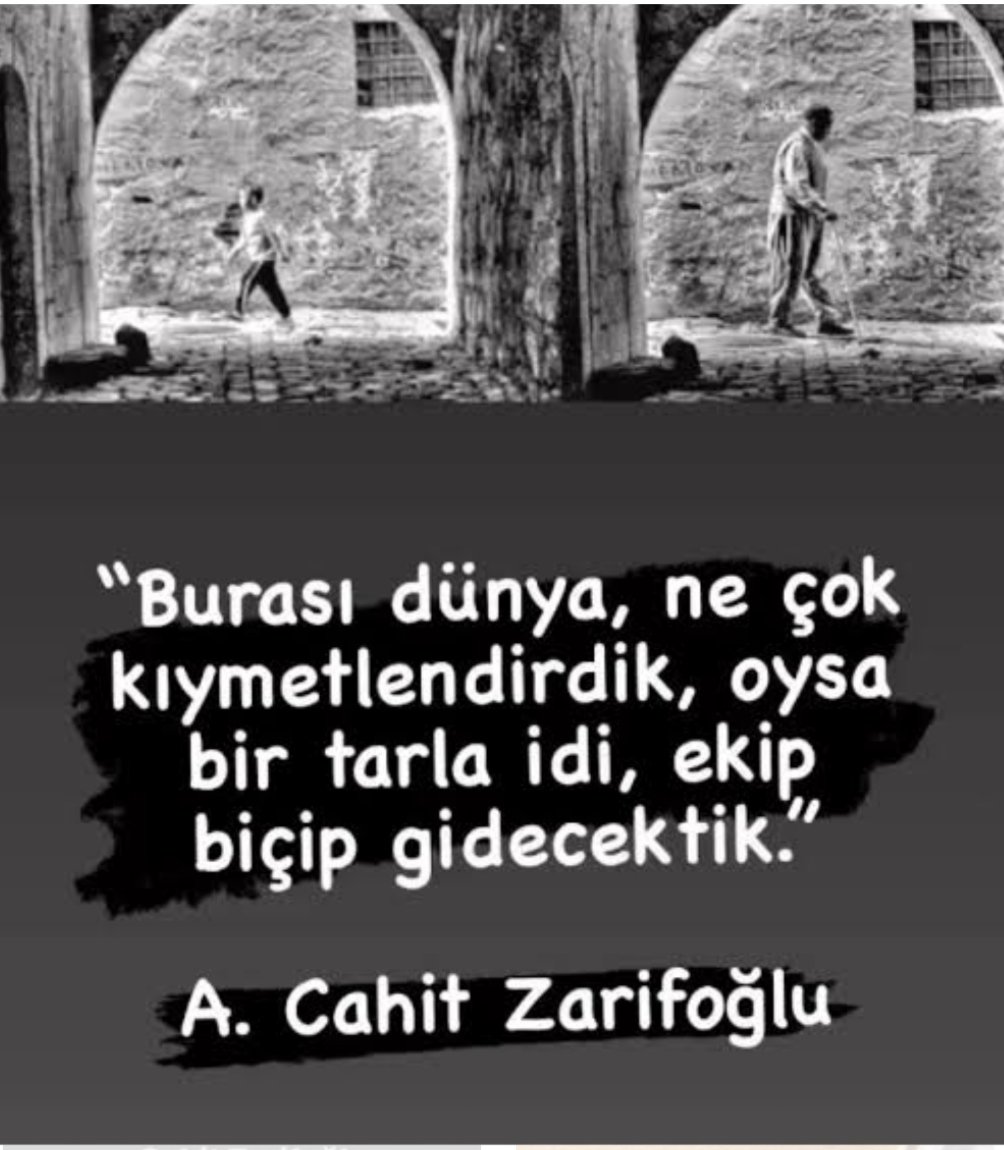 Veysel BİLBOĞA (@bilbogaveysel) on Twitter photo 