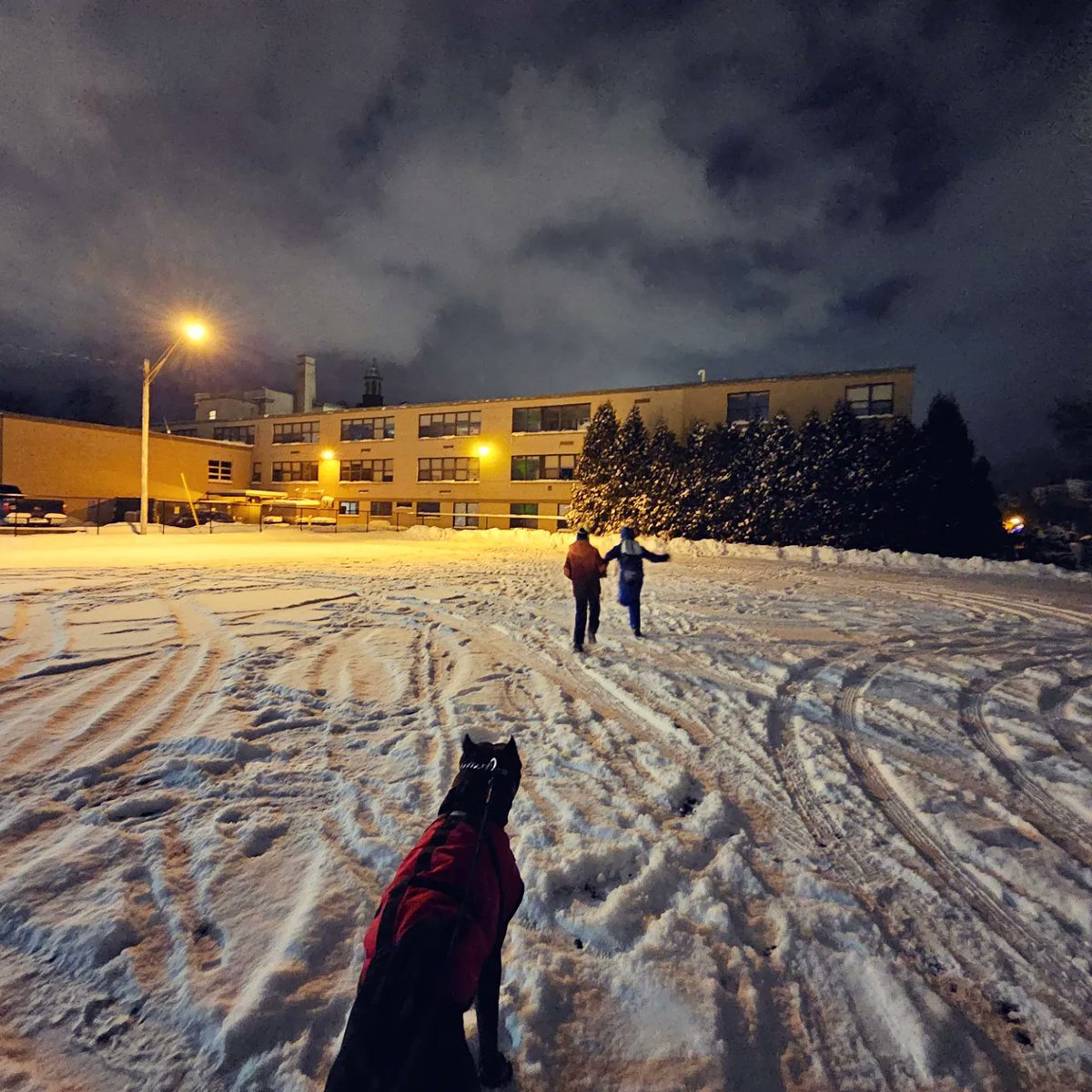 fatherhoodf1rst's tweet image. World as campus - phy. ed. 

#fatherhood #fatherhoodf1rst #fatherhoodfirst #family #sonship #worldasourcampus #worldascampus