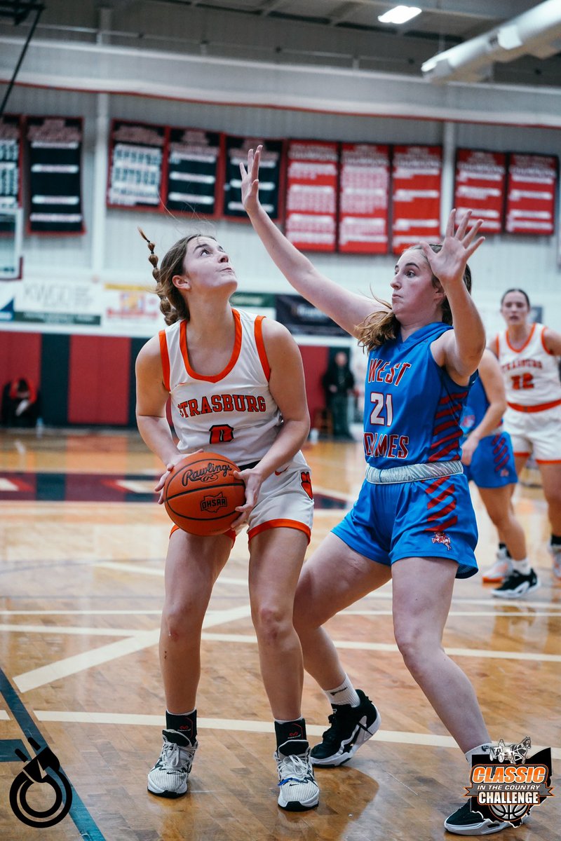 SheHoopsBball tweet picture