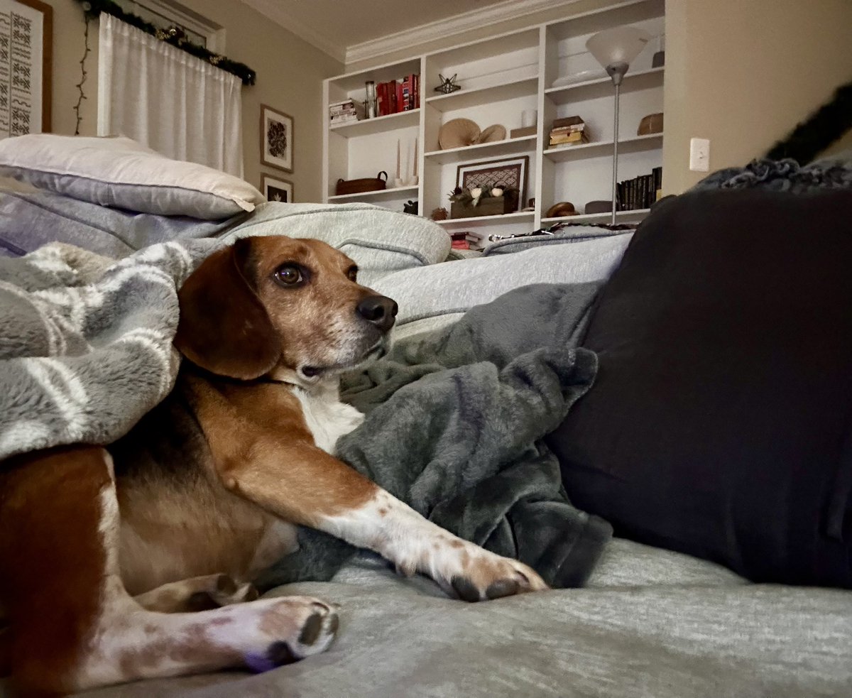 I also like soup… can I have some soup?? 🥣