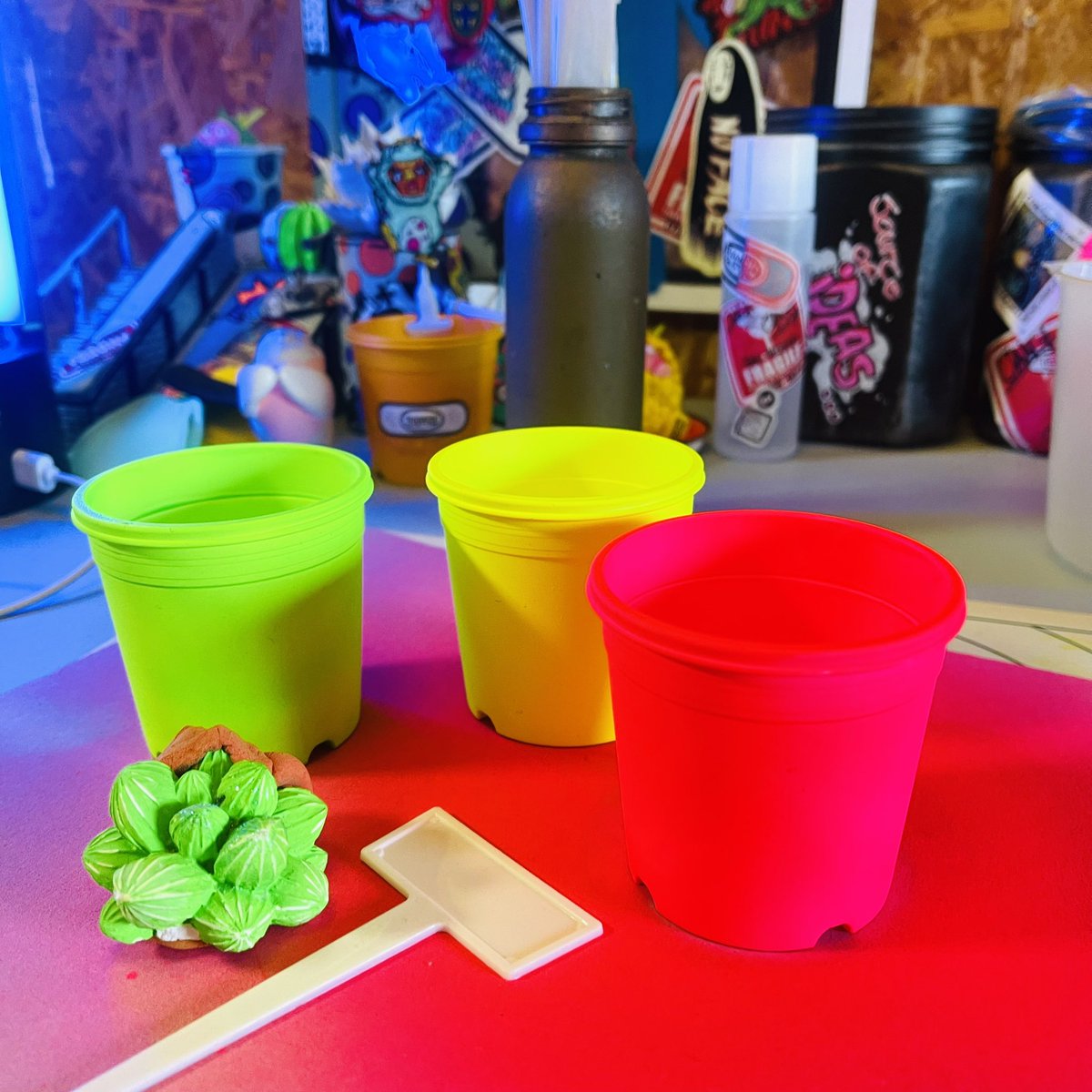 FrankenCustom's tweet image. 伝家の宝刀、下衆ピンク🩷
いつもは勝ち確の時しが使わないけど、
大勝負なので追加🧟‍♂️
この3色で試作する💪

#多肉植物 #다육식물  #succulent  #plants  #echeveria  #リメ鉢  #franken_custom   #custom #BANSOCO #ばんそーこー