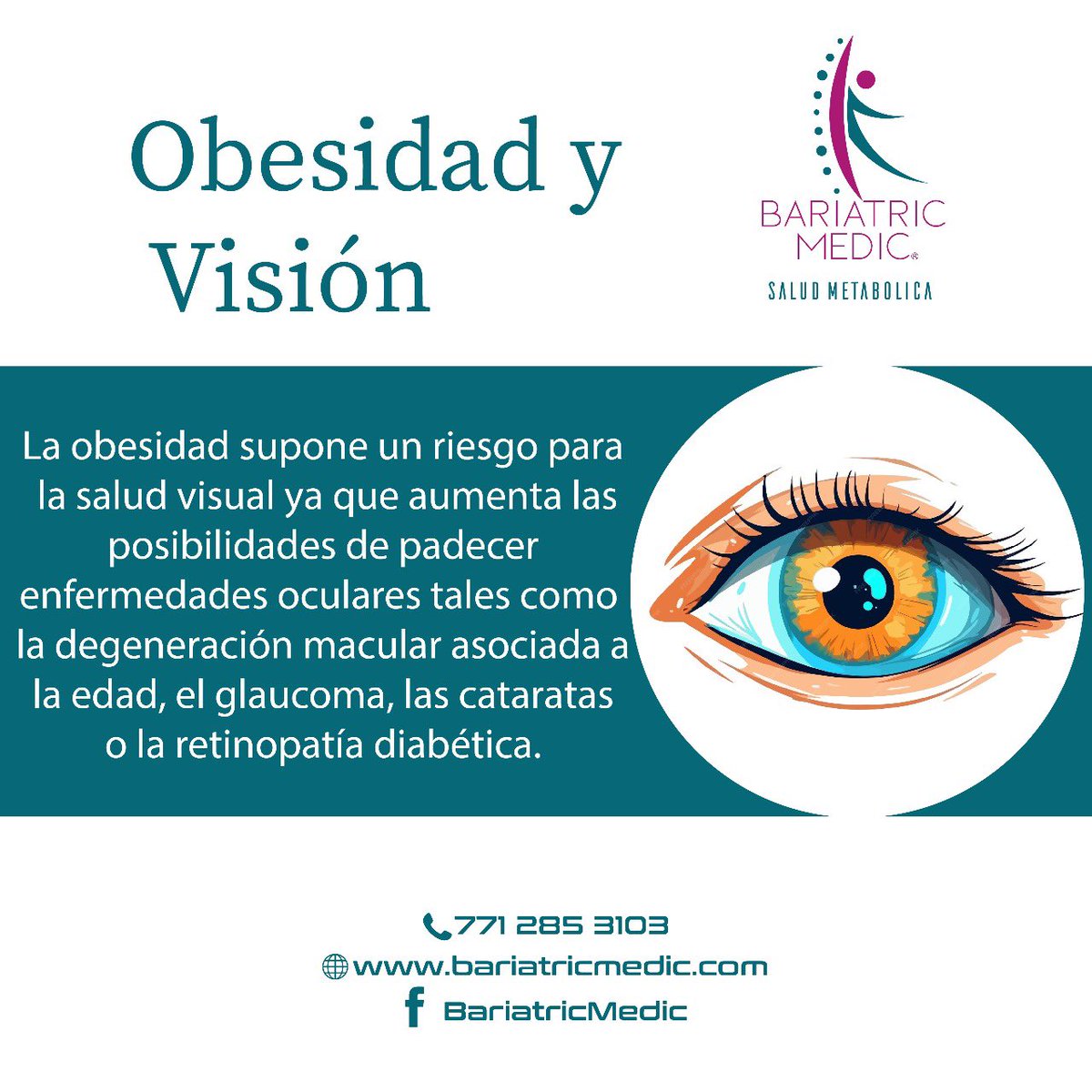 Recientes estudios afirman la relación directa entre el exceso de grasa y la mala salud visual. La grasa afecta al normal funcionamiento del sistema circulatorio debido a que se pueden producir obstrucciones en venas y arterias.

#RetaTuPeso