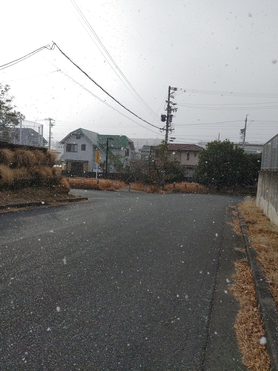 今年、入ってからすごく降ってる雪❄️
積もるかなぁ～…