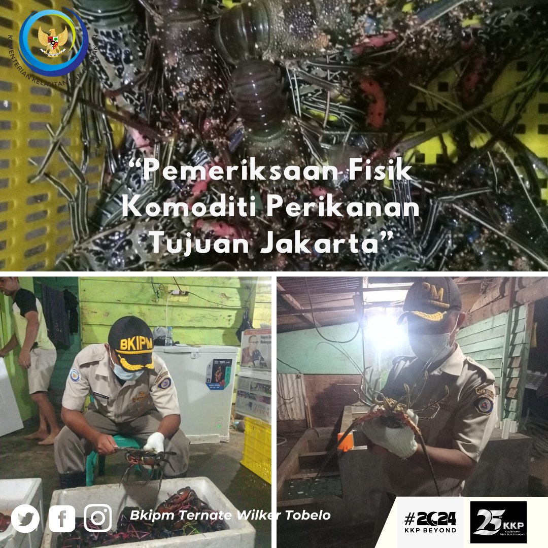 Hai #sahabatquarantine, 16 Januari 2024 Pejabat Karantina Ikan Wilker Tobelo melakukan giat Pemeriksaan jumlah, jenis dan ukuran terhadap komoditi Lobster Hidup dan Kepiting Bakau tujuan Jakarta. #MENTERIKKP #SAKTIWAHYUTRENGGONO #KKPGOID