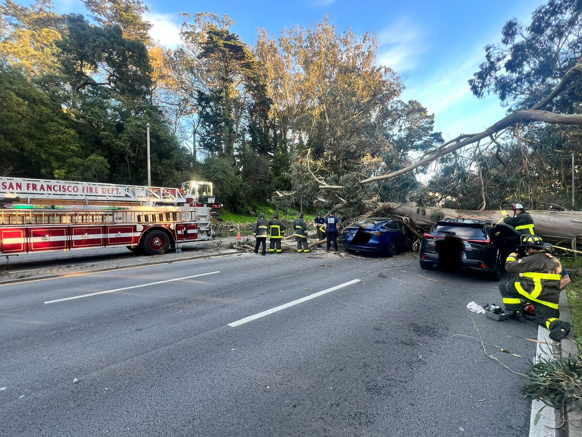 SFFDPIO's tweet photo. UPDATE 

11 OCCUPANTS ARE SAFE 
2 OF WHICH HAVE NON-LIFE THREATENING INJURIES 

#SFFD CLEARING TREE FROM CARS 

UNKNOWN WHEN ROAD WILL REOPEN

LARGE TREE ON 4 CARS NB 19TH AVE  CLOSED 

SB 19TH AVE ONE LANE OPEN AVOID AREA https://t.co/w6NGXZJdxU
