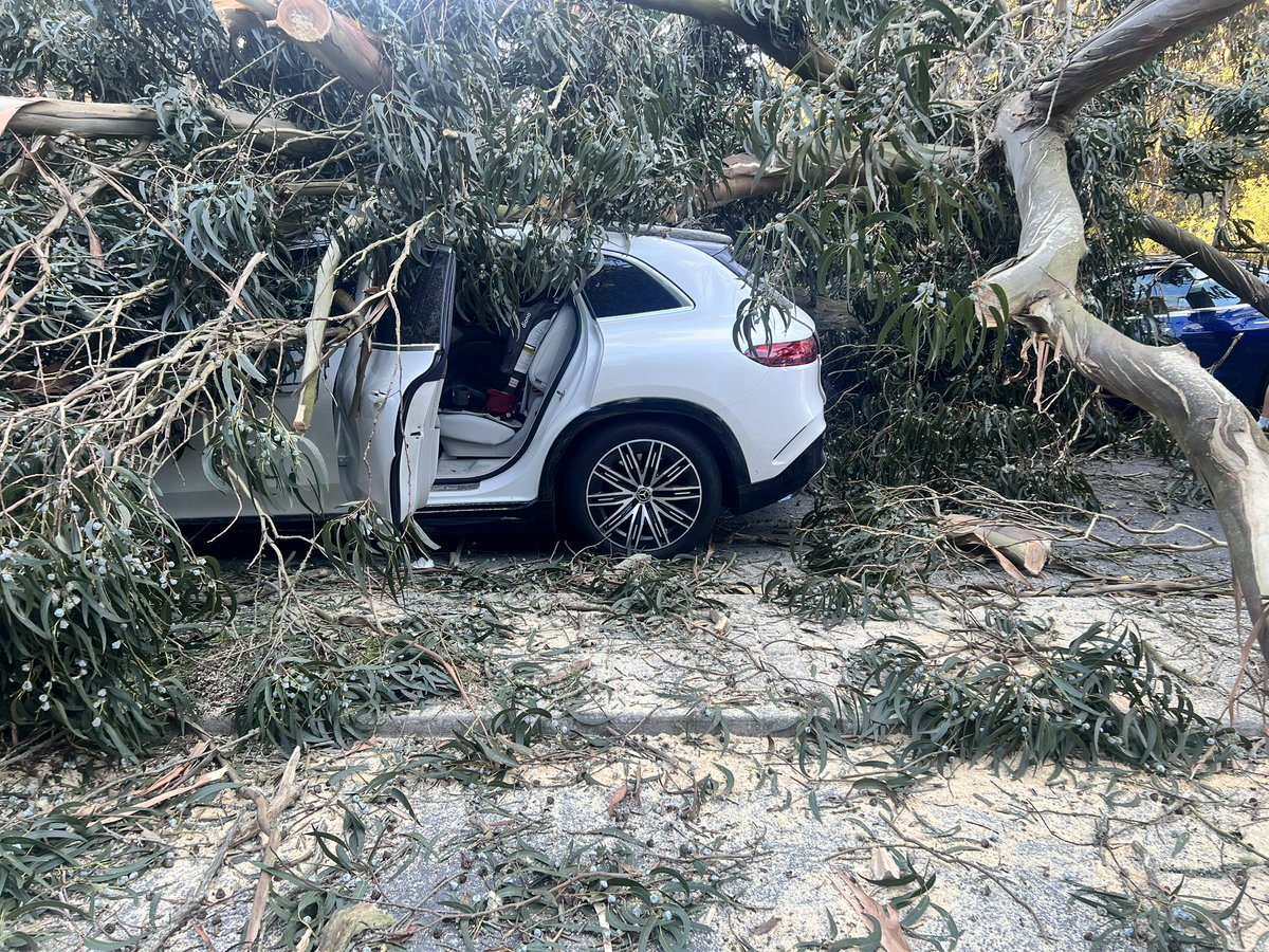 SFFDPIO's tweet photo. UPDATE 

11 OCCUPANTS ARE SAFE 
2 OF WHICH HAVE NON-LIFE THREATENING INJURIES 

#SFFD CLEARING TREE FROM CARS 

UNKNOWN WHEN ROAD WILL REOPEN

LARGE TREE ON 4 CARS NB 19TH AVE  CLOSED 

SB 19TH AVE ONE LANE OPEN AVOID AREA https://t.co/w6NGXZJdxU
