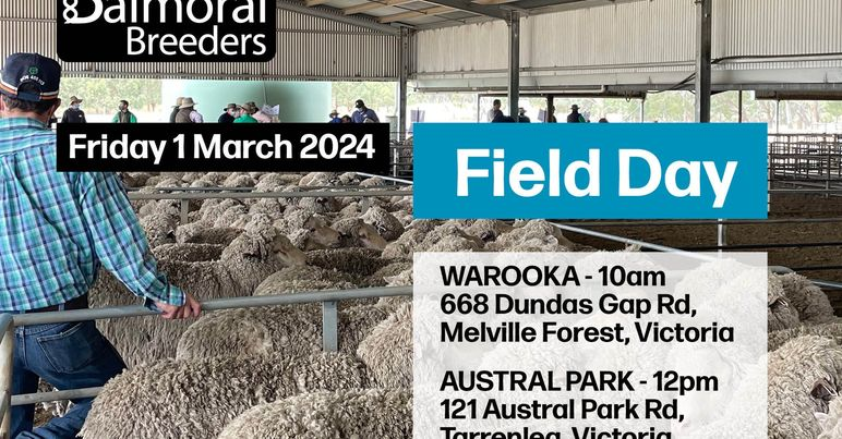 ramsaybaa's tweet photo. Don't miss this upcoming Merino event on March 1 hosted by the Balmoral Breeders.
The day will include an update on the latest results from the #MLPProject to be delivered by @bcsagribusiness.
Hope to c ewes there! https://t.co/vgiaazXbCJ