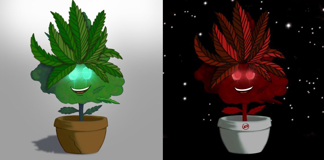 my_BestBUD's tweet photo. @ociswap $EARLY Bud 💚 | $LATE Bud ❤️ https://t.co/mupThKIW6N