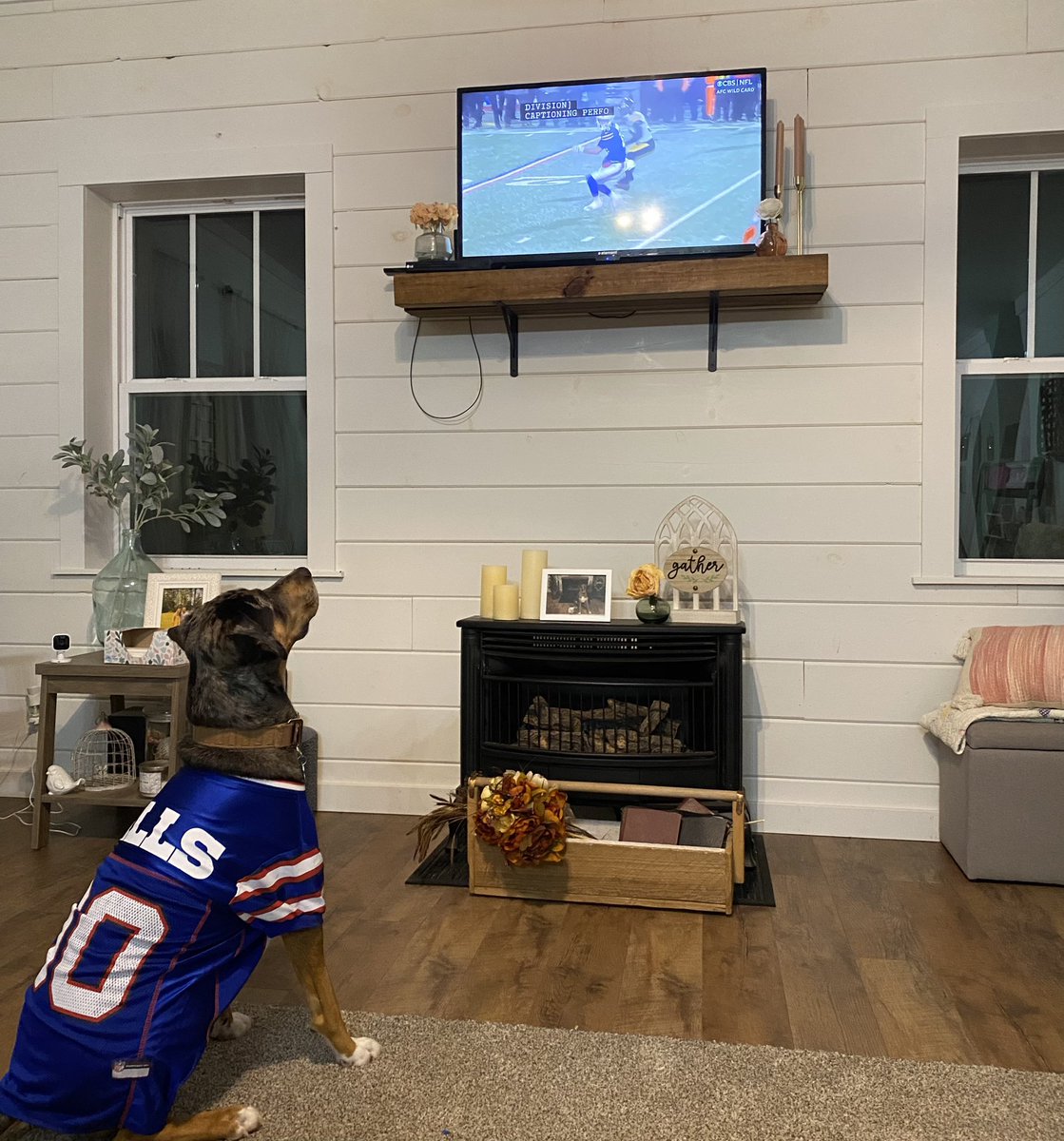 Cami Alexander tweet media