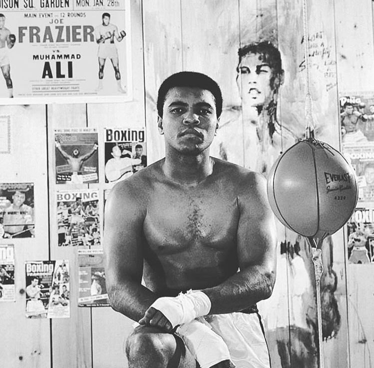 RedNation_HQ's tweet photo. Life's a boxing ring – step in, throw those punches, or risk being on the receiving end. 

It's a learning journey, mastering the ring, the dodges, the blows, and the knockout moves. 

#GrandeFratello https://t.co/sj6aCXq1Dm
