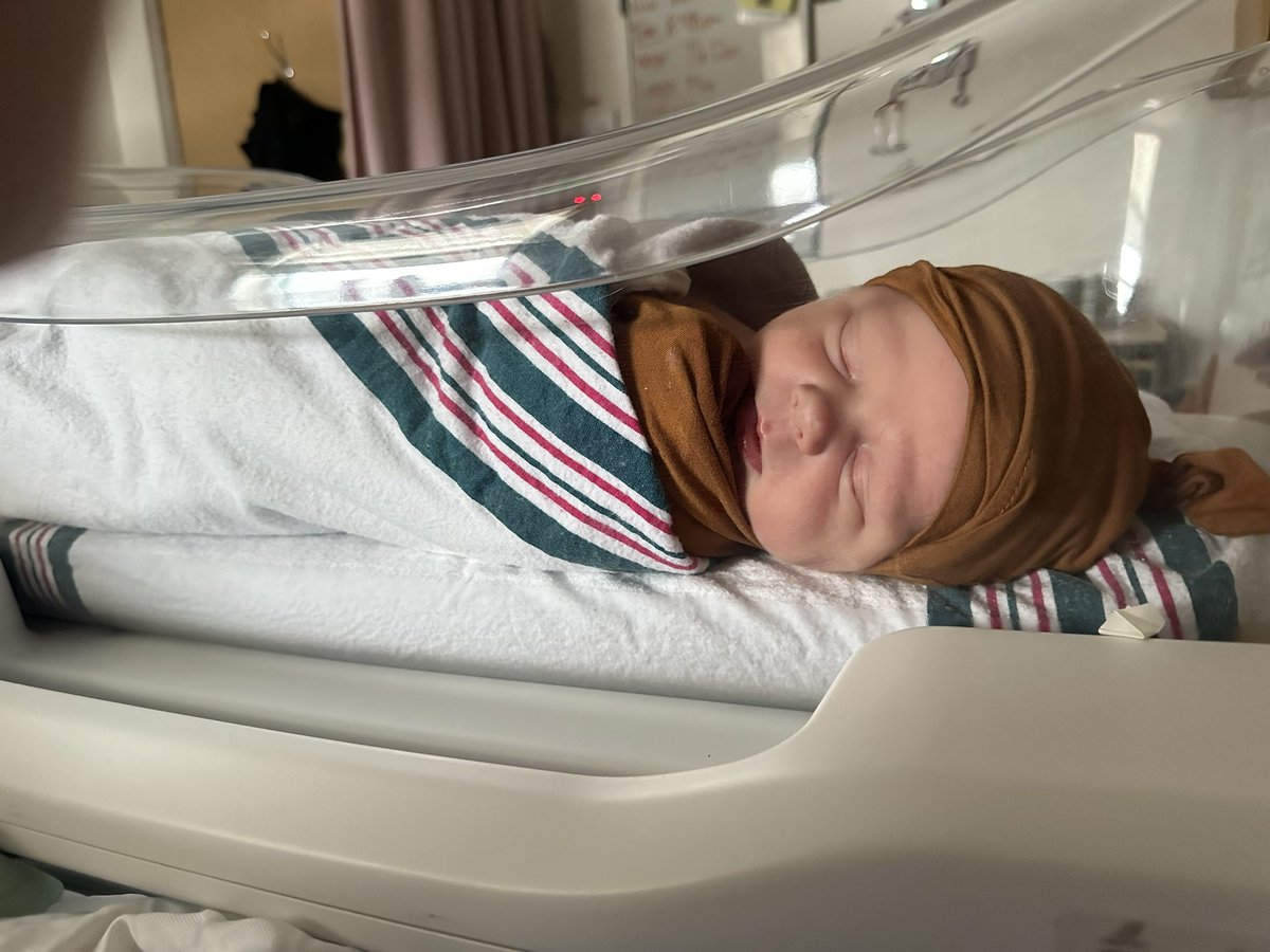 David P. Giroux tweet media