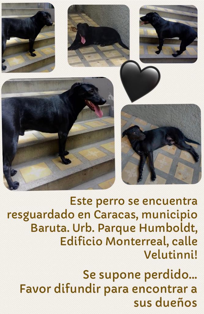 yaracalcagno's tweet photo. Se busca a su familia. https://t.co/5yEuOXsRlm