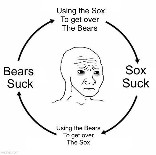 This vicious cycle called life