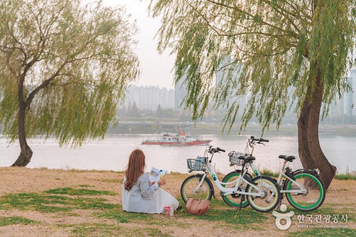 KoreanTravel's tweet photo. Getting around Seoul just got easier!😃From subway real-time interpretation system to foreigner-exclusive taxi app and English chatbot service for Seoul’s public bicycles, take use of all the new transportation services!😍
💠Travel news: https://t.co/r4jQ2WiE8Q https://t.co/fFlB2dEAy1