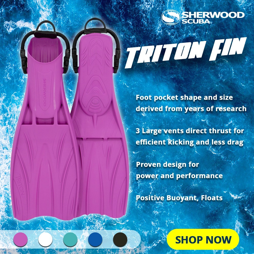 OneStopDive's tweet image. Power, Performance, and Comfort. That is why you use the Triton Fins. This design provides tremendous power and performance, but reduces the risk of leg or foot cramps 🤙😎

onestopdive.com/collections/fi…

#sherwoodscuba #scubadiving #divergear #divethailand #kohtaodiving