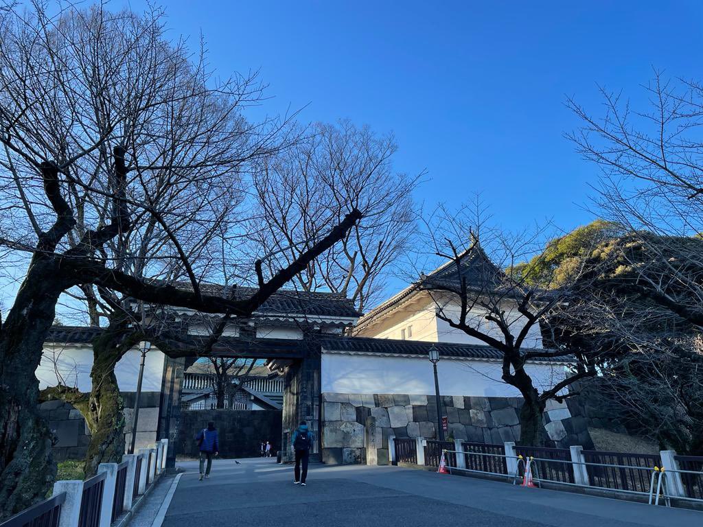 JuliaLongbottom's tweet photo. 近所の北の丸公園で朝のジョギング
Early morning jog in nearby Kitanomaru Park. I love Tokyo winters!
#fuyubare
#migoto https://t.co/moQQox3i7U