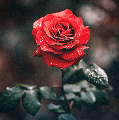 TheConstantCrew's tweet photo. Check out @acidify_music new singe "Can We Fall In Love Again" now out on all platforms! https://t.co/tVVefHxck0
