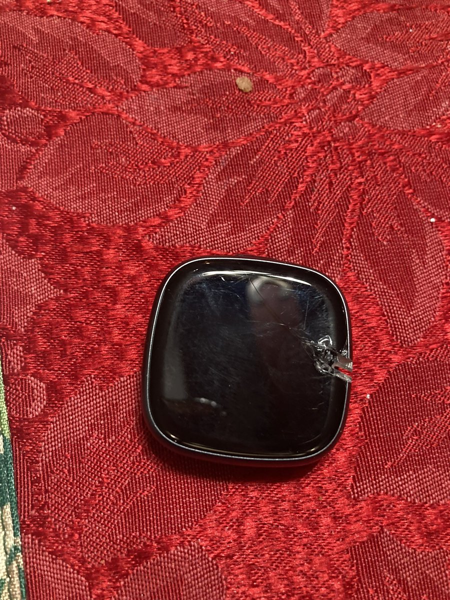 Reba Tierney tweet media