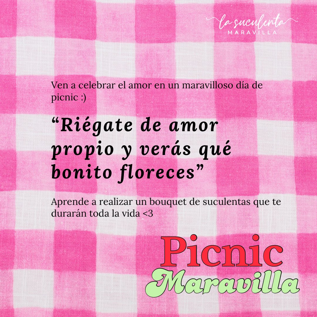 LSMaravilla's tweet photo. ¡Picnic Maravilla! 💕
Nos da mucha emoción contarles que nuestro primer taller del año será dedicado al #selflove 🫶
Vengan a pasar una tarde increíble en el Bosque de Chapultepec y aprendan a realizar un bouquet de suculentas.💘
Ven solit@ o trae a tu persona especial 😊🙌 https://t.co/gEYjRRhHoy