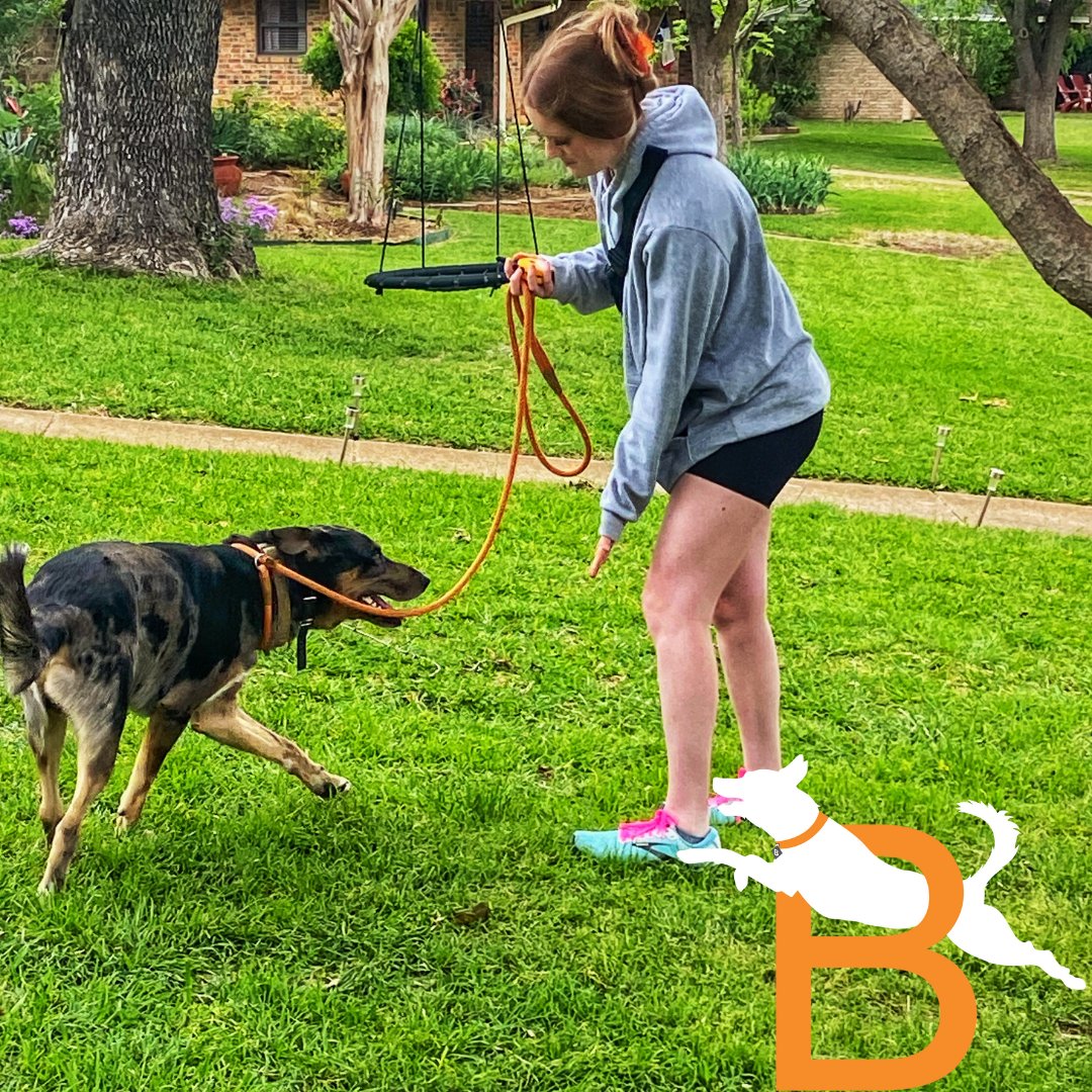 DogBreakthrough's tweet photo. We're always happy to see happy and satisfied clients. Obedience training is an important part of responsible pet ownership. https://t.co/2IFJiV4B9C