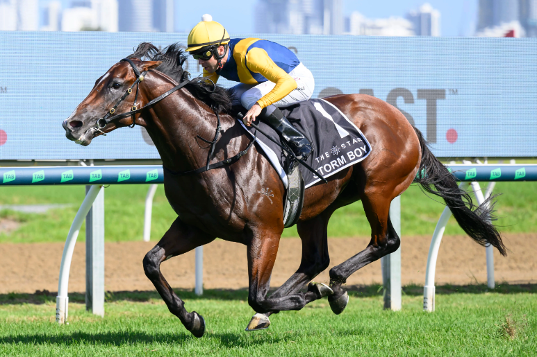 TRBHorseRacing's tweet photo. 🏇STORM BOY ran an elite 105 WFA Performance Rating ⏱️⚖️📊 to win the 2YO Magic Millions Classic on Saturday.

Everything about this performance, from the clock to margins to the way he did it working early and still the strongest late, says it was one of the best juvenile performances we've seen in recent years. 

Sunlight is the next highest-rated Magic Millions winner in the past 10 years (101.5). The ten-year winning average for the Golden Slipper is 104.2

One performance doesn't make a career, and a lot still has to go right for him to go on and realise his potential, but he may be a very special talent. 

1400m to 1600m is likely to be even more suitable than the 1200m we saw him over on Saturday.