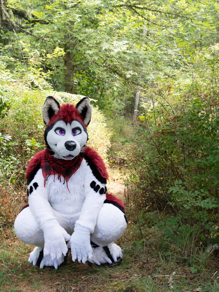 Tricky the Pandafox tweet media