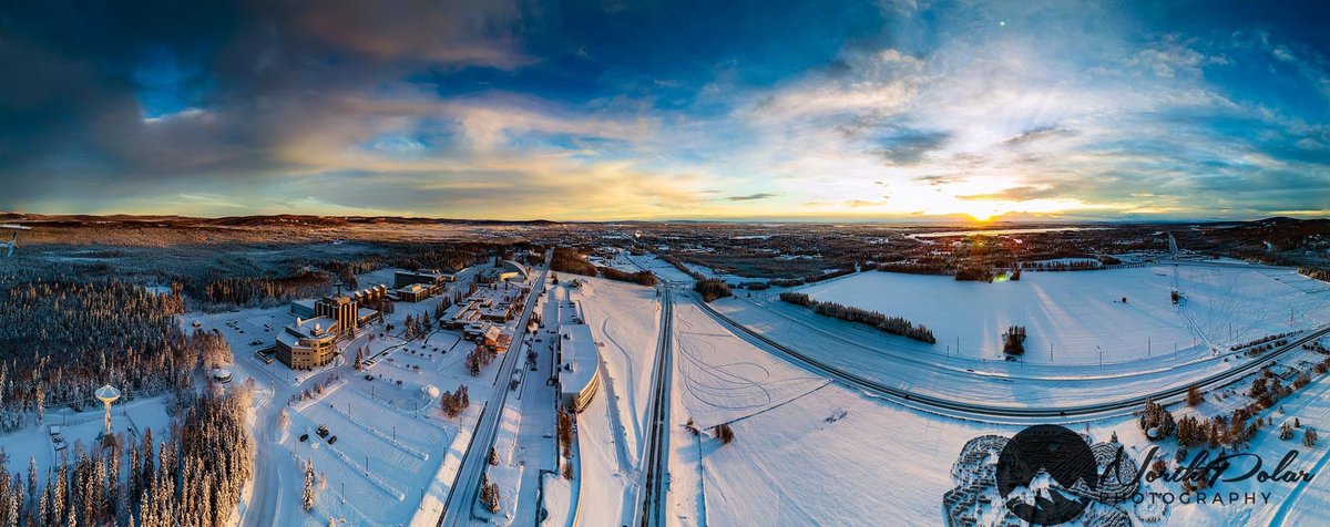 FrozenPhotographer tweet media