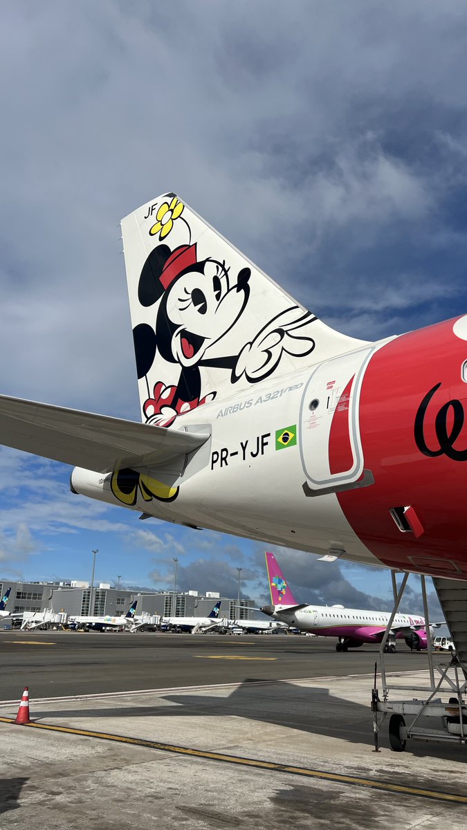 omagnata's tweet photo. A maiorzona da frota mágica.
#A32F
#Airbus
#aviationgeek
#flynow https://t.co/sgB16B7CVw