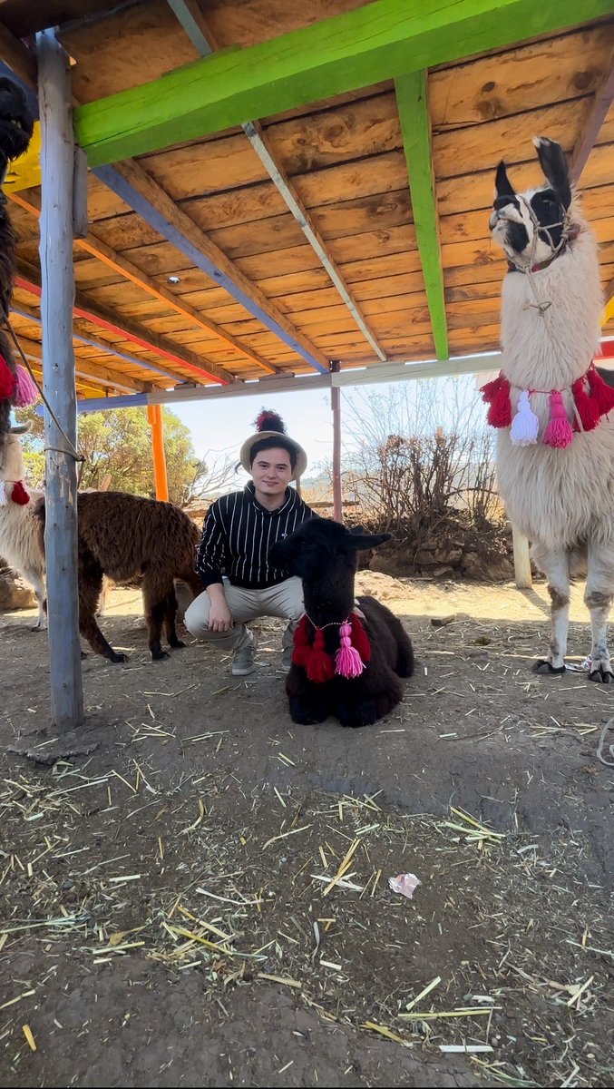 Con el emperador kuzco, yo sé que está algo quemado, pero yo que es el, a mi no me engaña 🦙